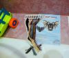 DSC08455.thumb.JPG.ecfb26cf303767286c91b6ea25261608.JPG