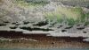 DSC_0007.thumb.JPG.525cdc5bde37d79dcea1fe8f763381c1.JPG