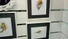 DSC_0015_7.thumb.JPG.1b32347aafdc046c39ab20c03a48340e.JPG