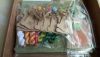 DSC_0016.thumb.JPG.161f5c919e0b1b0b1076c40d8ad862b2.JPG