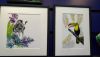 DSC_0026_5.thumb.JPG.13a89821f2935e854a693f4277f7a8e7.JPG