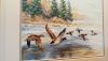 DSC_0132.thumb.JPG.a171390d24c59e29547ee44ddd9f0b87.JPG