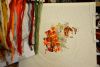 DSC_0395.thumb.JPG.a2a447c035437b5639ce1307a0beda91.JPG