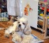 DSC_0404.thumb.JPG.6f198960b2d0e7cd3642b428e43d3bf1.JPG