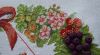 DSC_1630.thumb.jpg.5718eae97674875984dce7661516def5.jpg