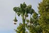 DSC_6981.thumb.JPG.aff3fd3db816033ad68a6bf982684847.JPG