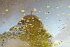 DSC_7013.thumb.JPG.5bdacc4550d98e8a8624957ac32f8ad8.JPG