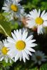 DSC_7257.thumb.JPG.516c0963814263f26896bbb8f17466d5.JPG