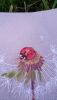 E19D6E4F-F94E-44A7-ABA8-D2FEF373CE59.thumb.jpeg.3bd6d9db755c9a2b03777b6429c30d80.jpeg