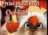 ED550B32-7137-40C5-B523-78ACF31D9DB6.thumb.jpeg.6d25dcb2cfa3d9cff0ab5c9c5be524bf.jpeg