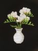 IMG-8216.thumb.jpg.92ea63dbb4da0fd14c082b430c80e7dd.jpg