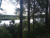 IMG_20180825_152929.thumb.jpg.9a9904818bc540a6fbb88b686ed11d4d.jpg