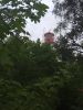 IMG_20180826_103618.thumb.jpg.12a2524106db8a4ad1f6748d2ab02c78.jpg