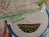 IMG_20180908_105206.thumb.jpg.3a68b43bd78572d30ecc6a44163d6fcc.jpg?1537119432874