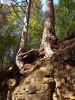 IMG_20180909_140602.thumb.jpg.d35a1c6f45723f4c4499738dd70fda5d.jpg