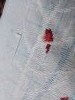 IMG_20180916_190212.thumb.jpg.b0bd8df72cbb20ba391e06d9a49aad4b.jpg