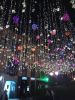 IMG_20180917_202626.thumb.jpg.cce4f2edfee698c234d35eabdb438135.jpg