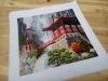 IMG_20180919_093704_930.thumb.jpg.34a4defae06f4e184b74708d79e3ab82.jpg?1537379942147
