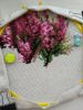 IMG_20180920_105053.thumb.jpg.876c85263aefde5789f41a6d863426c8.jpg