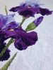 IMG_2350.thumb.JPG.92df6700966f40c38d50b2af6032b5b2.JPG