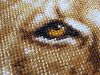 IMG_2417.thumb.JPG.a0d5f8e6a4961f0435e6c95cf1f1d1dd.JPG