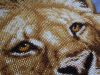 IMG_2418.thumb.JPG.e42112d4d6a0133c65a25a760158685e.JPG