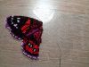 butterfly.thumb.jpg.2cdf9e46c2f255704f0e952714f08674.jpg