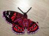 butterfly1-1.thumb.jpg.33ab3bc688d90a698c00e893509c2fdc.jpg