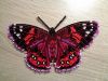 butterfly1-2.thumb.jpg.704323a148ca79eec402b50b417d44df.jpg