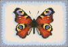 dimensions06868.jpg.b182825d8fade1e98068a3239dbc81f3.thumb.jpg.b80c5ba2886fae00d319682cb5c443c5.jpg