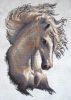 1.thumb.jpg.22e2ac78124e13a6a8a3e77fc8a296c0.jpg