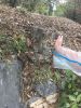 10.thumb.JPG.9d4f2df607d708fce2ff5e46386e45dd.JPG