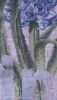2.thumb.jpg.e59213118892ed275d0dea42b9e67642.jpg