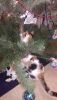 20171224_183339.jpg