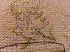 20180319_231816.thumb.jpg.2a4a40bce39420e8fa0b90903c531191.jpg