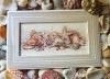 20180820_084233.thumb.jpg.d1647f45210247ddcf609db37883d2ee.jpg?1539615791084