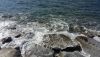 20180925_144327.thumb.jpg.528f8700b3e3ab7ea5ee7a9bbd5f961f.jpg
