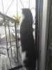 20180929_154545.thumb.jpg.d5310aa7530a75496f24a8b5b5ca21e7.jpg?1538381132910