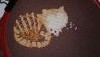 20181001_114638.thumb.jpg.b0741319bdfebce76de50e34aab673bf.jpg?1539178334100