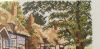 20181003_150145.thumb.jpg.1f18494ff59a317788b16d5945db597e.jpg