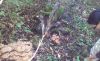 20181006_105251.thumb.jpg.e6f20ec34c82224dbf32c4c973ed8ad4.jpg