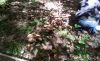 20181006_141432.thumb.jpg.82f2c6313343083ac478e18ec8b26170.jpg