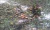 20181008_122007.thumb.jpg.2765a643b45b4a729e521d40c79e4abd.jpg