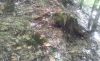 20181008_122054.thumb.jpg.0c84ade48a091eee5b00632eca39c418.jpg