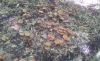 20181008_122457.thumb.jpg.beaaa46de97c8cd211950fe0819d4608.jpg