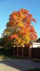 20181008_160732.thumb.jpg.b1a3f69262261746997175615082af55.jpg