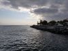 20181009_160750.thumb.jpg.a6f520e01279df16c1c3e403a56b845c.jpg