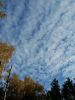 20181014_144820.thumb.jpg.32203b775a3769425151096546d5df27.jpg
