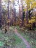20181014_144944.thumb.jpg.d24548e62e8794f6333cf95255736475.jpg