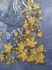 20181015_100141.thumb.jpg.5095a0bc1f18ecc8150a511eda623543.jpg